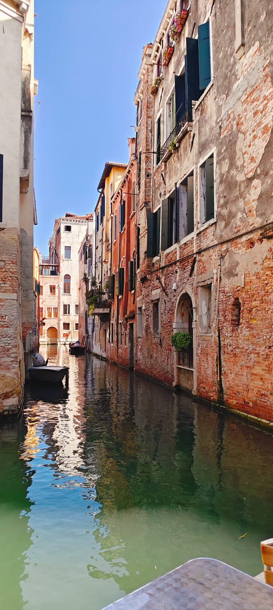 Carlos 8a (@carlos8aa) on Twitter photo 