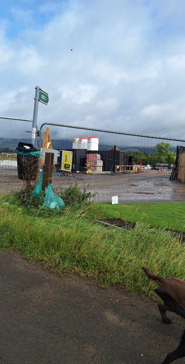 Lindsay Branston tweet media