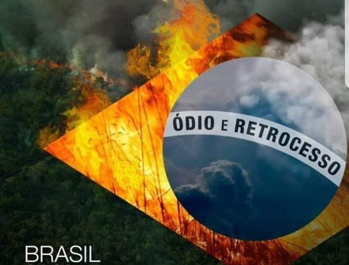 A bandeira do bolsonarismo.
.