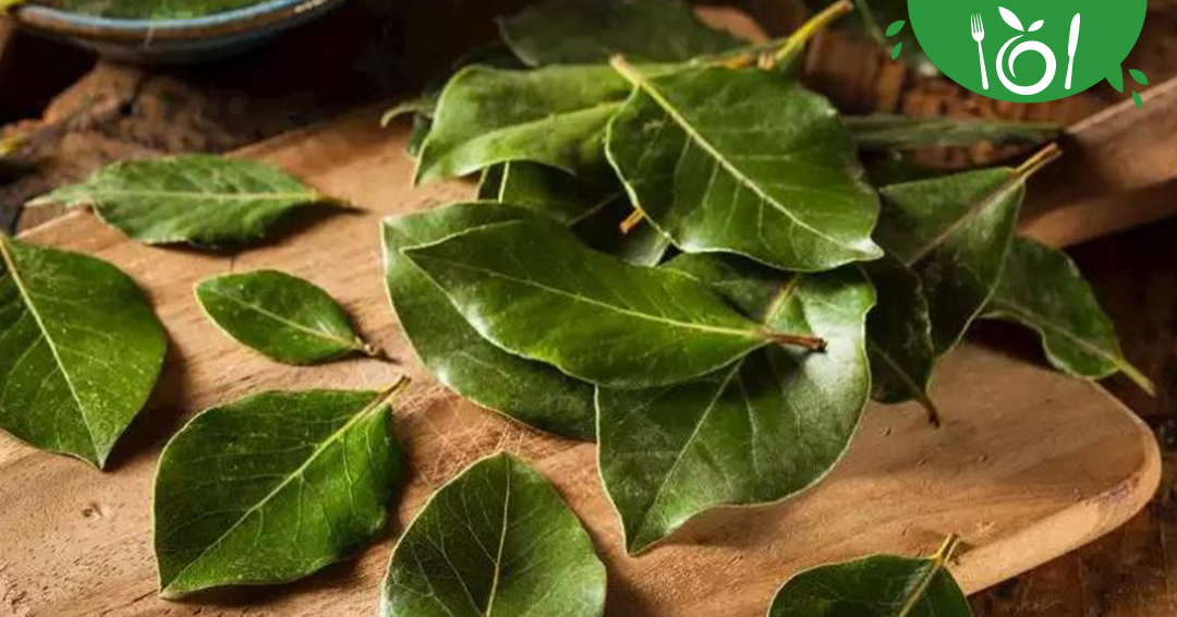 Defne yaprağı ya da halk arasında bilinen diğer adıyla Akdeniz defnesi, antioksidan bileşenler içeren ve yemeklere aroma katmak için kullanılan bir bitkidir. l24.im/zIxbR1 linkinden Defne Yaprağının nerelerde kullanıldığını detaylı olarak inceleyebilirsiniz.