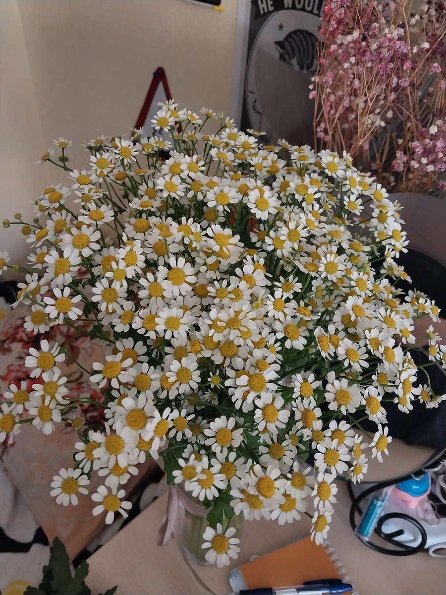 __kito__'s tweet photo. #flowersforyoongi #Юнги https://t.co/4jbG7izAo0
