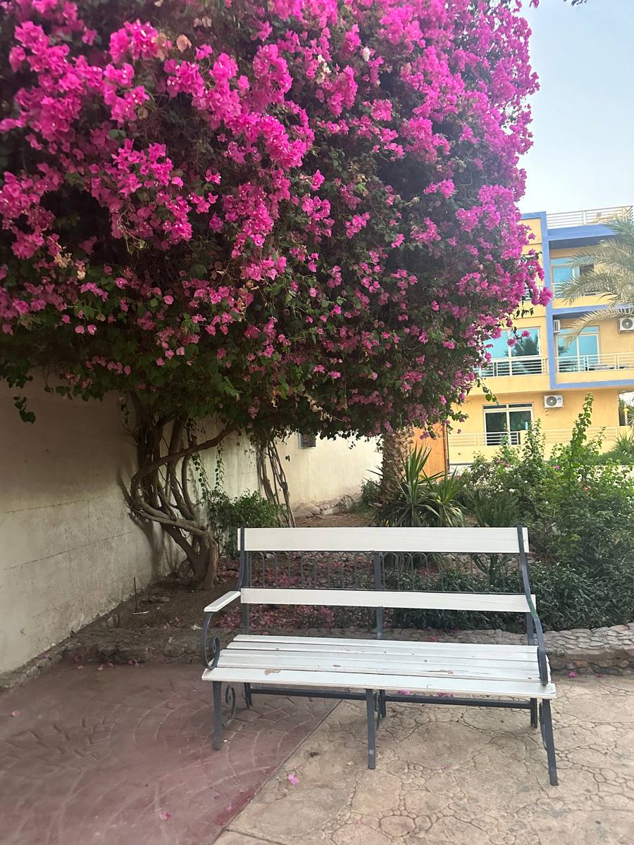 __kito__'s tweet photo. #flowersforyoongi #Юнги https://t.co/4jbG7izAo0