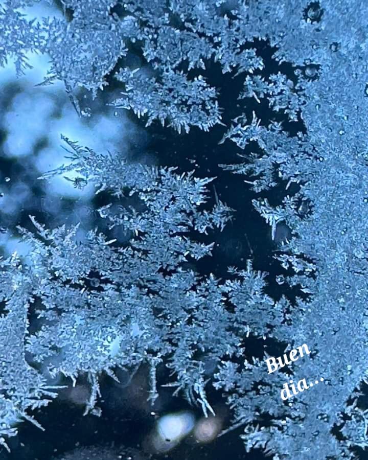 Buen lunes🧉☕️🍫🫂😘🎶🙌🫶🩵💙🤍💫💥✨️