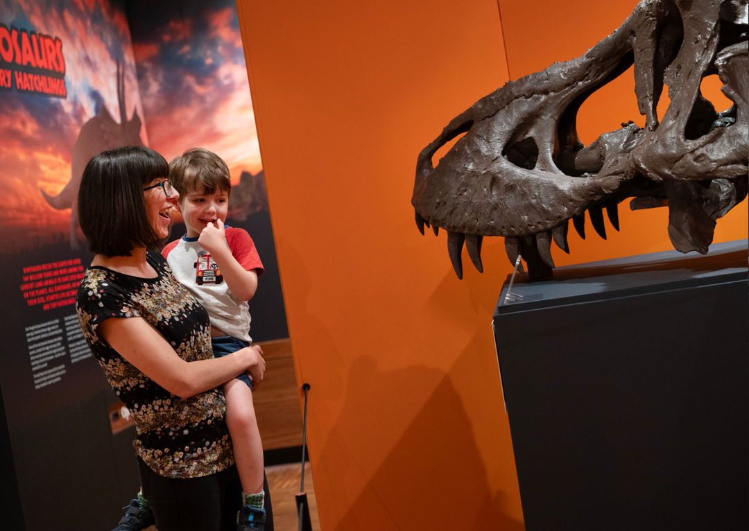 The Novium Museum tweet media