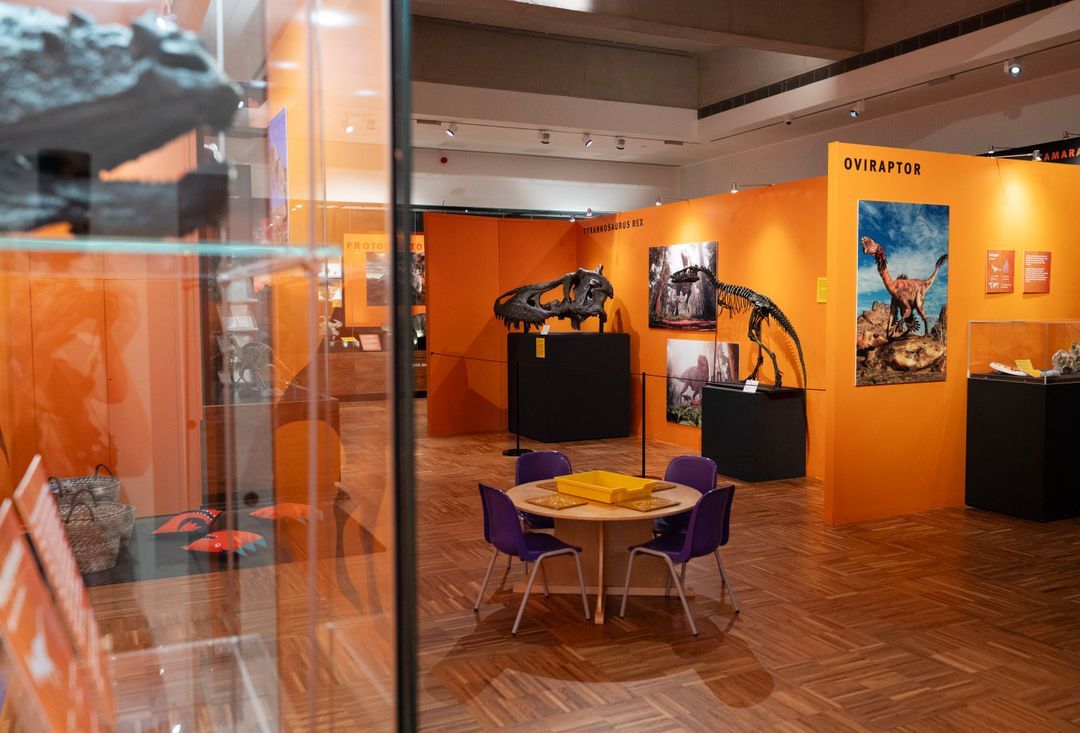 The Novium Museum tweet media