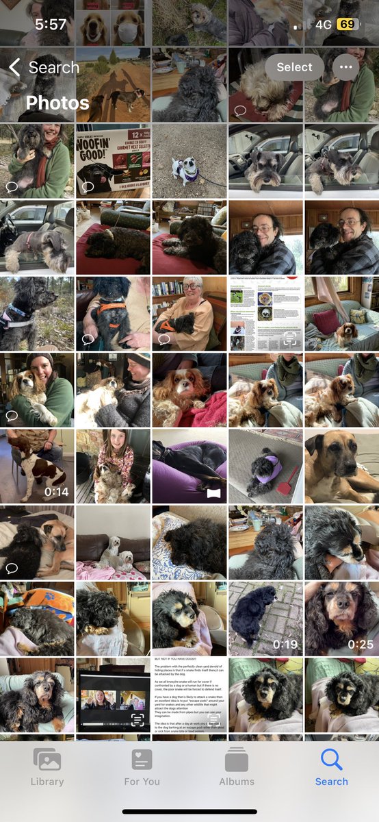 Tanya Loos tweet media