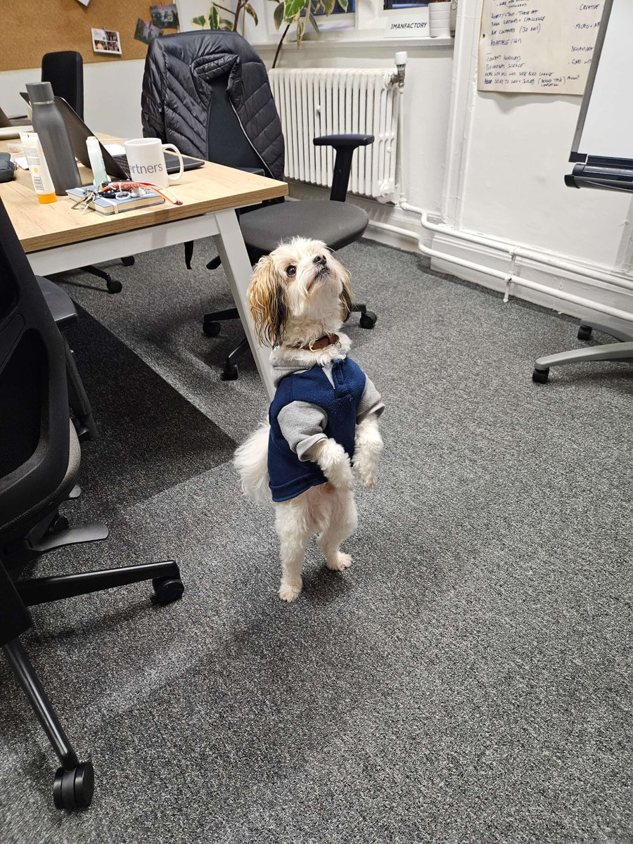 We know we often talk a lot about Peanut, but he’s really the life and soul of the team and a true office MVP. 🐶

So, for #NationalDogDay, here’s a series of pictures of Peanut hard at work in the 3man office! 📸