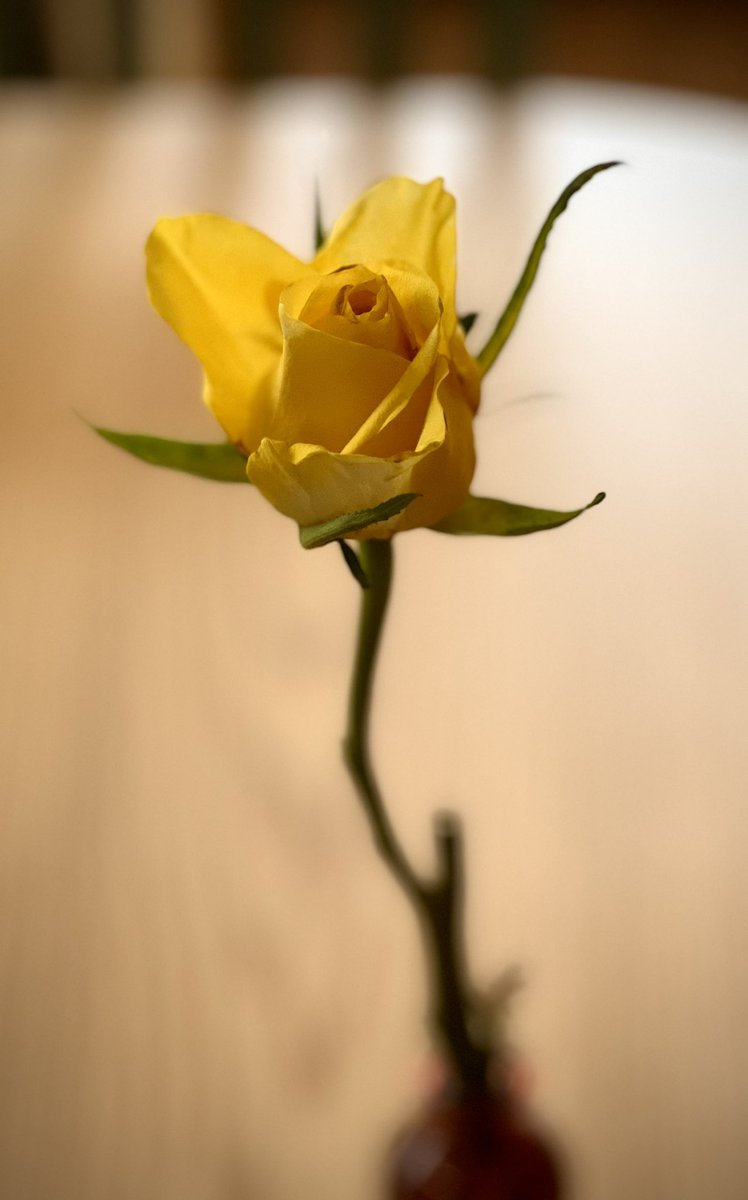 Onegreatpic (@dgphoto_graphy) on Twitter photo 