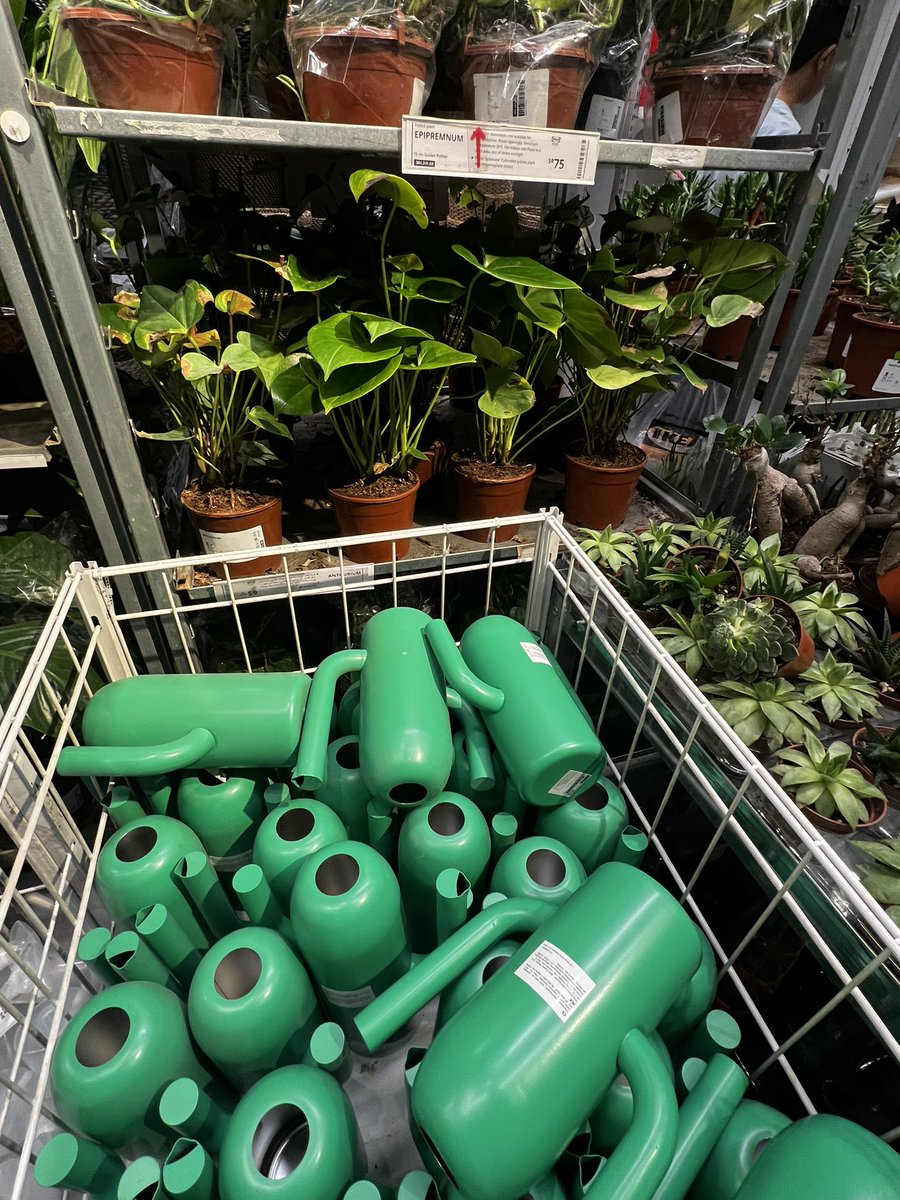 ISHUAAI's tweet photo. 🌱 https://t.co/1vZcRQL2Gi