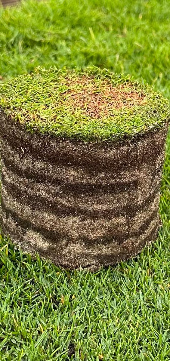 CoreMax48 tweet media