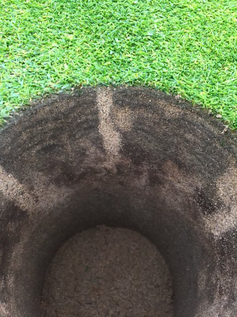 CoreMax48 tweet media