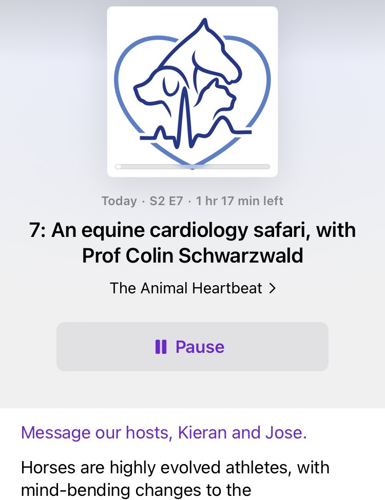 We are go! #equinemedicine