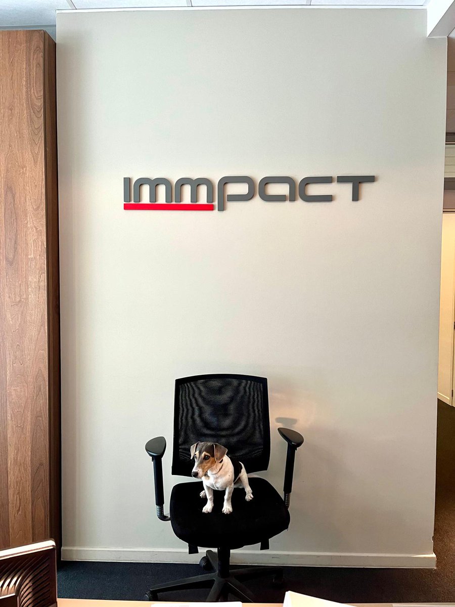 We hebben vandaag assistentie aan onze receptie naar aanleiding van Internationale hondendag... 😉 🐶 😍 

#WereldHondendag #InternationaleHondendag #dagvandehond #OfficeDog #Immpact #Antwerpen
