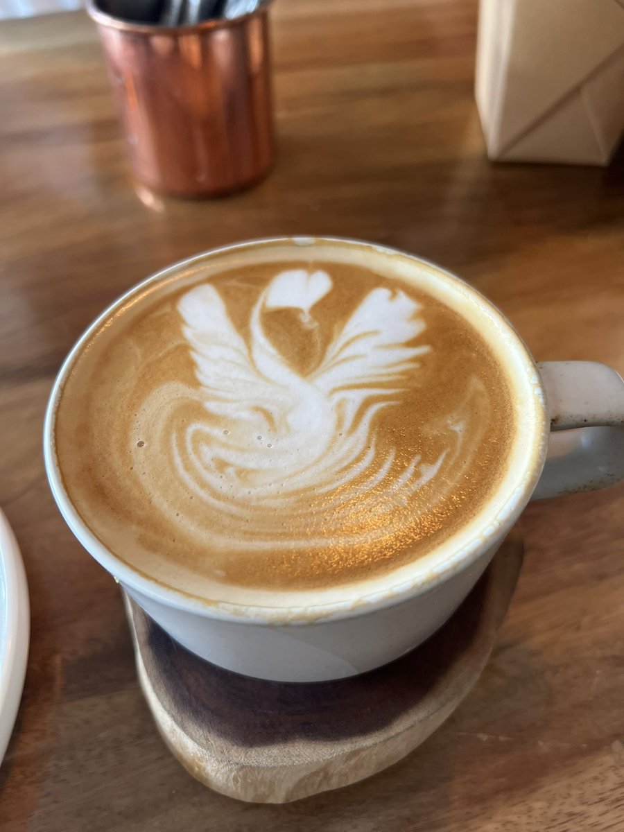 ISHUAAI's tweet photo. 🦢 https://t.co/TjIlKyTM5C