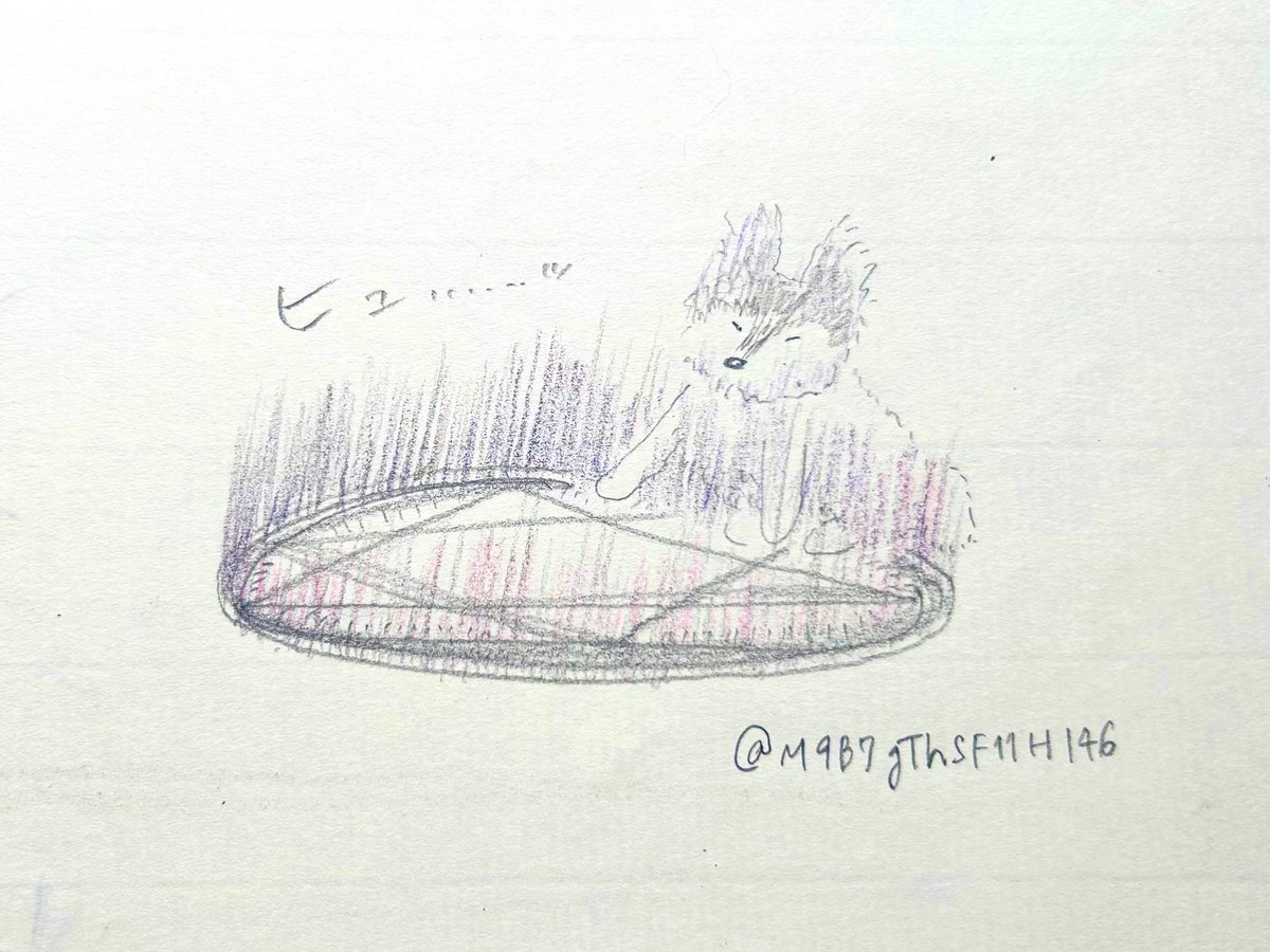 ヘタピ_いきものおえかき (@hetapidrawing) on Twitter photo 