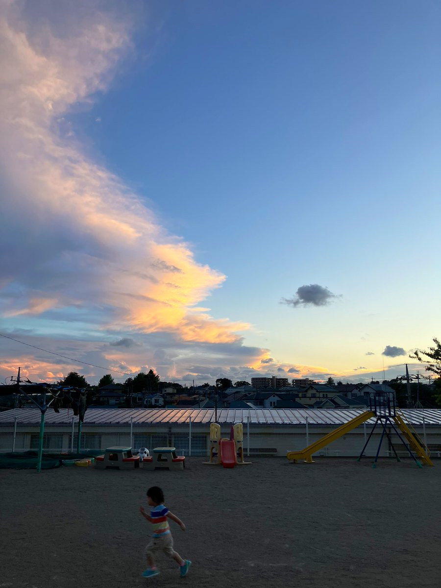 徳 田 直 之 tweet media