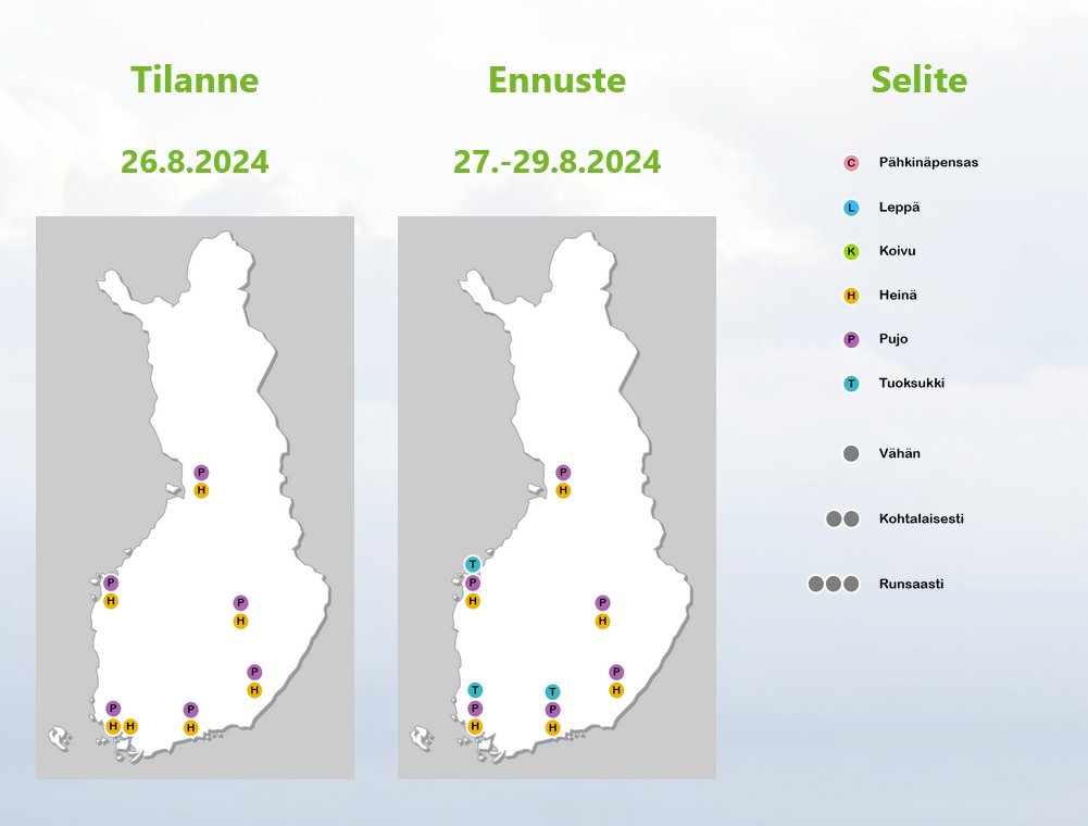 siitepolya's tweet image. Heinien ja #pujon #siitepölymäärät pysyttelevät edelleen pääasiassa vähäisinä koko kukinta-alueella maan eteläosista Pohjois-Pohjanmaalle ja Kainuuseen. Tuoksukin #siitepölyä on odotettavissa maan länsiosiin ennustejakson loppupuolella. 
#siitepölytiedote #heinät #pujo #tuoksukki