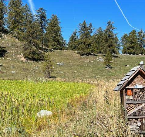 Lo Gouilly, un trésor naturel 🌿

Sous le col du Lein, découvrez Lo Gouilly, un biotope riche en biodiversité. Explorez l’histoire de ce lieu exceptionnel avec Topofinder. 

#topofinder #nature #biodiversité