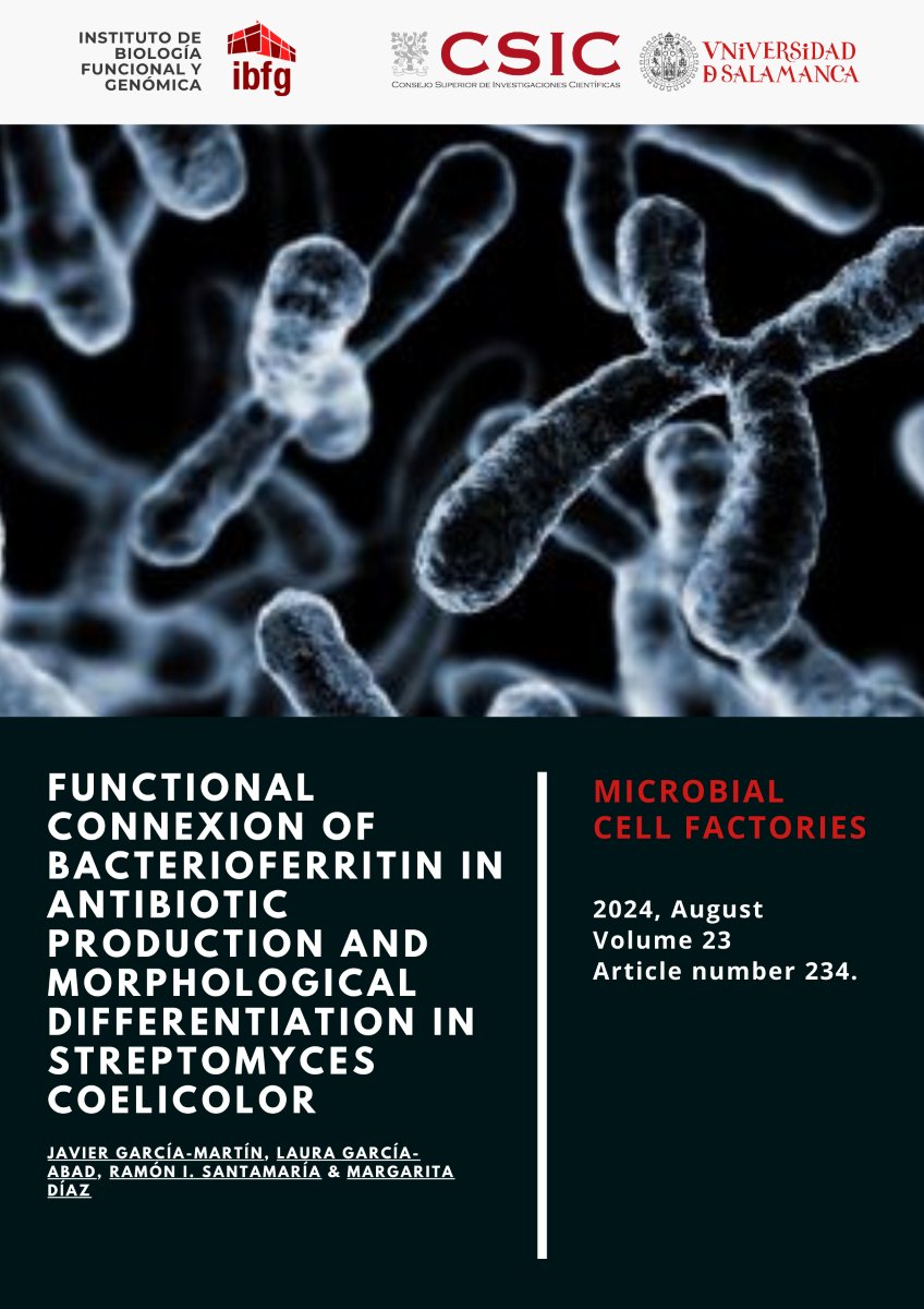 #IBFG_Paper in Microbial Cell Factories entitled 'Functional connexion of bacterioferritinin antibiotic production and morphological differentiation in Streptomyces coelicolor' by Ramón Santamaría &amp; Margarita Díaz's group/lab". #Streptomyces #antibiotics
🔗rdcu.be/dRUAR