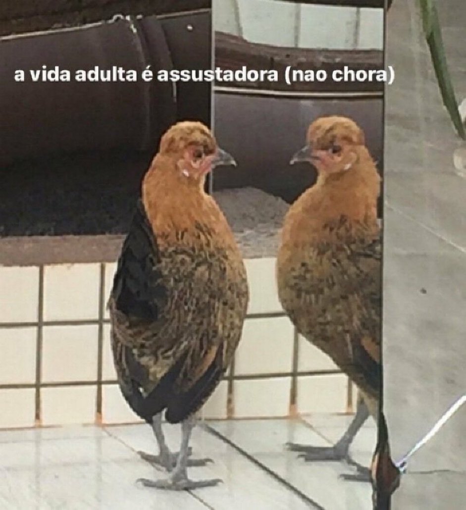 itimaliasof's tweet photo. segunda feira né https://t.co/fz9E4eeU2R