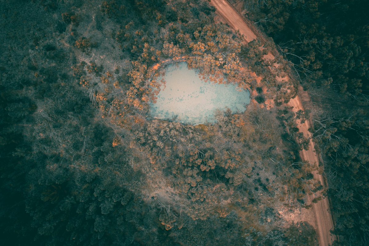 mujidrifts's tweet photo. Until I flew my drone about this pond, I didn’t know that it’s a shape of a heart ♥️. I love glue this small body of water is surrounded by beautiful and tall trees, hiding it under plain sight. #SouthAfrica #CapeTown https://t.co/FUxXw07BhD