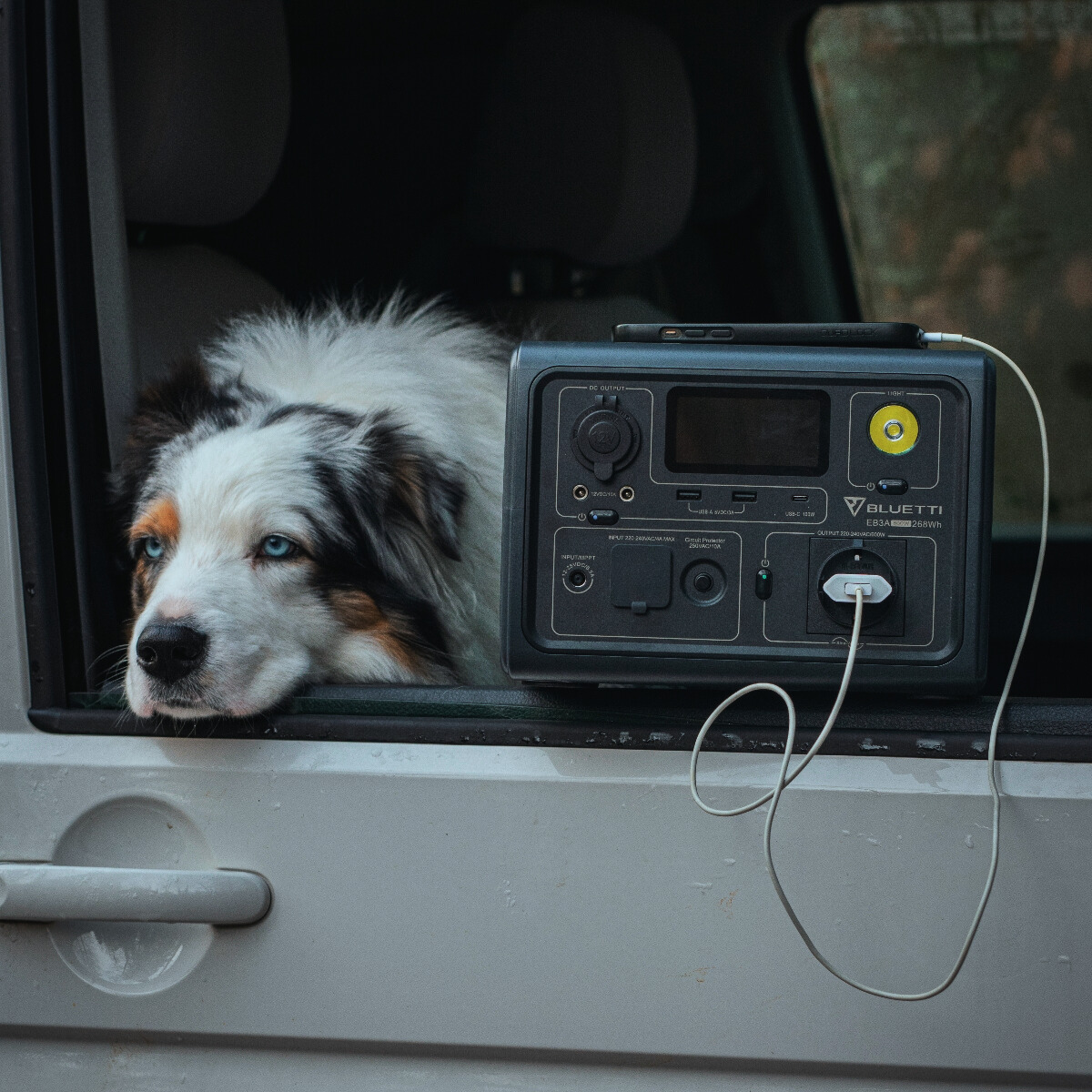 bluetti_africa's tweet photo. Life on the road feels just right with the BLUETTI #EB3A by your side. Keep your adventures charged, and your best friend happy! 🐾⚡️

#PoweredByBLUETTI #VanLife https://t.co/5XyDngIXNl
