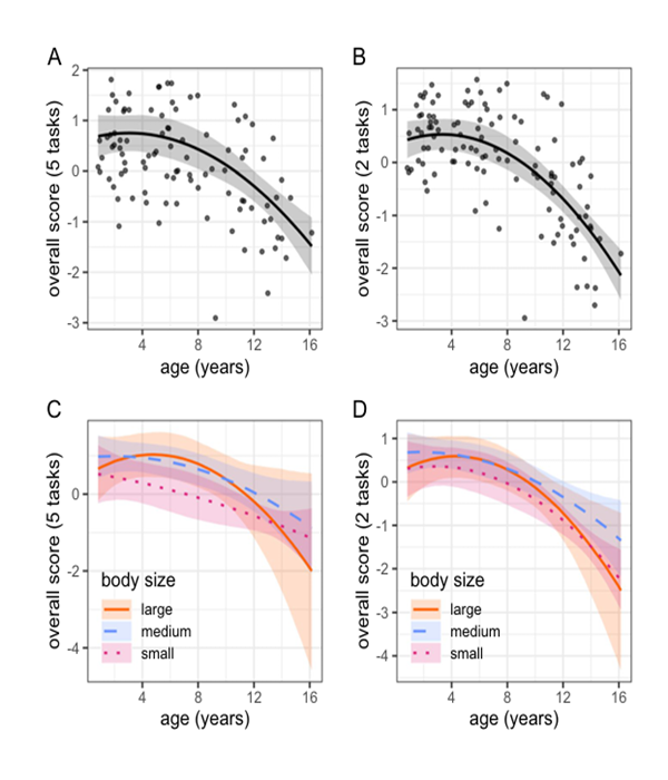 TimePie (focus on anti-aging science) (@timepiechina) on Twitter photo This study shows older #dogs have cognitive decline, making new tests useful for #aging research.
By <a href="/DrEmilyBray/">Emily Bray</a>, <a href="/theadora_phd/">Theadora Block, PhD</a>, <a href="/NaomiWChao/">Naomi Chao</a>, <a href="/sitstayplay/">Janet Galante</a>, <a href="/bskennedyvet/">Brenda Kennedy</a>, <a href="/DPromislow/">Daniel Promislow</a>, <a href="/DavidRaichlen/">David Raichlen</a>, <a href="/loreleiswitz/">Lorelei Switzer</a>, <a href="/lily_tees/">Lily Tees</a>, <a href="/SilvanUrfer/">Silvan R. Urfer</a>, et al.
link.springer.com/article/10.100… This study shows older #dogs have cognitive decline, making new tests useful for #aging research.
By <a href="/DrEmilyBray/">Emily Bray</a>, <a href="/theadora_phd/">Theadora Block, PhD</a>, <a href="/NaomiWChao/">Naomi Chao</a>, <a href="/sitstayplay/">Janet Galante</a>, <a href="/bskennedyvet/">Brenda Kennedy</a>, <a href="/DPromislow/">Daniel Promislow</a>, <a href="/DavidRaichlen/">David Raichlen</a>, <a href="/loreleiswitz/">Lorelei Switzer</a>, <a href="/lily_tees/">Lily Tees</a>, <a href="/SilvanUrfer/">Silvan R. Urfer</a>, et al.
link.springer.com/article/10.100…