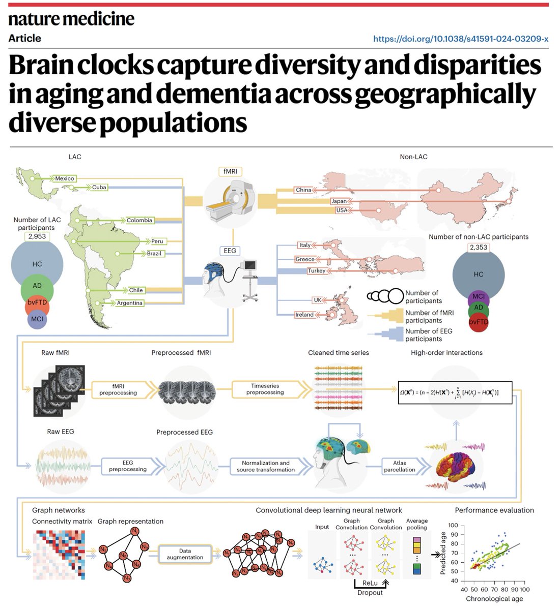 Agustin Ibañez (@agustinmibanez) on Twitter photo Your Brain Age is less about mechanical ticks & more about entropic lifestyle & environment. In our <a href="/NatureMedicine/">Nature Medicine</a>, brain clocks speed up due to dementia, exposome (economic inequality, pollution), gender-health disparities, & regional factors👉 nature.com/articles/s4159…
🧵1/6 Your Brain Age is less about mechanical ticks & more about entropic lifestyle & environment. In our <a href="/NatureMedicine/">Nature Medicine</a>, brain clocks speed up due to dementia, exposome (economic inequality, pollution), gender-health disparities, & regional factors👉 nature.com/articles/s4159…
🧵1/6