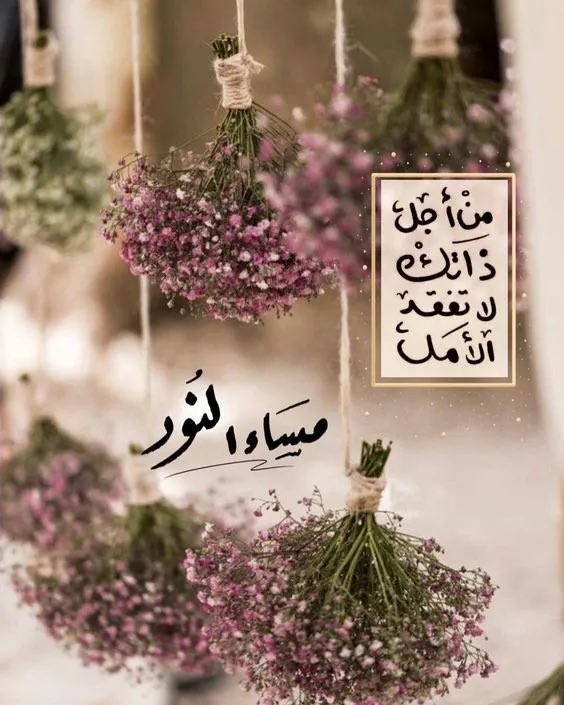مساء الخير 🥀
