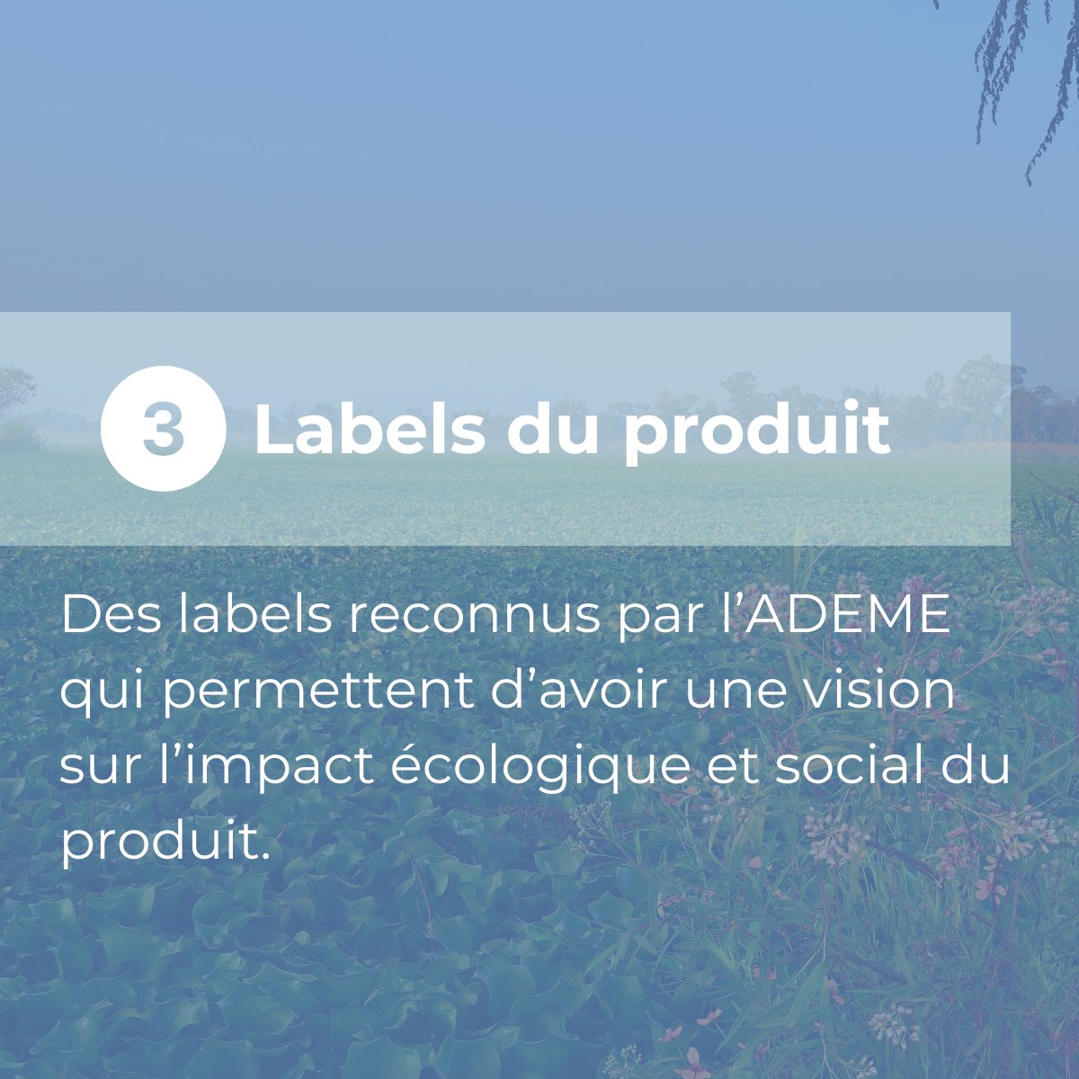 🌍 Simplifiez vos achats responsables avec l'indice hello RSE ! Un outil fiable pour identifier rapidement les produits les plus engagés sur le plan RSE. #RSE #Durabilité #AchatsResponsables