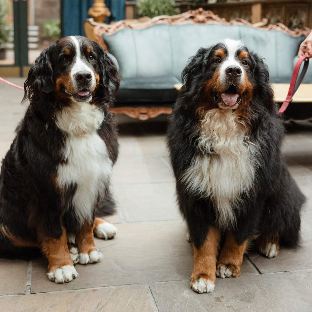 Edwards Cleaning tweet media