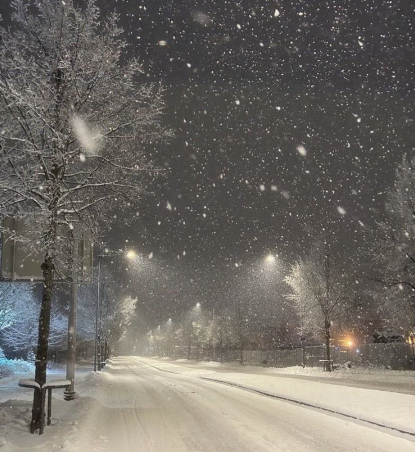 ben kış insanıyım
sen seversin
sevmezsin
beni ilgilendirmez