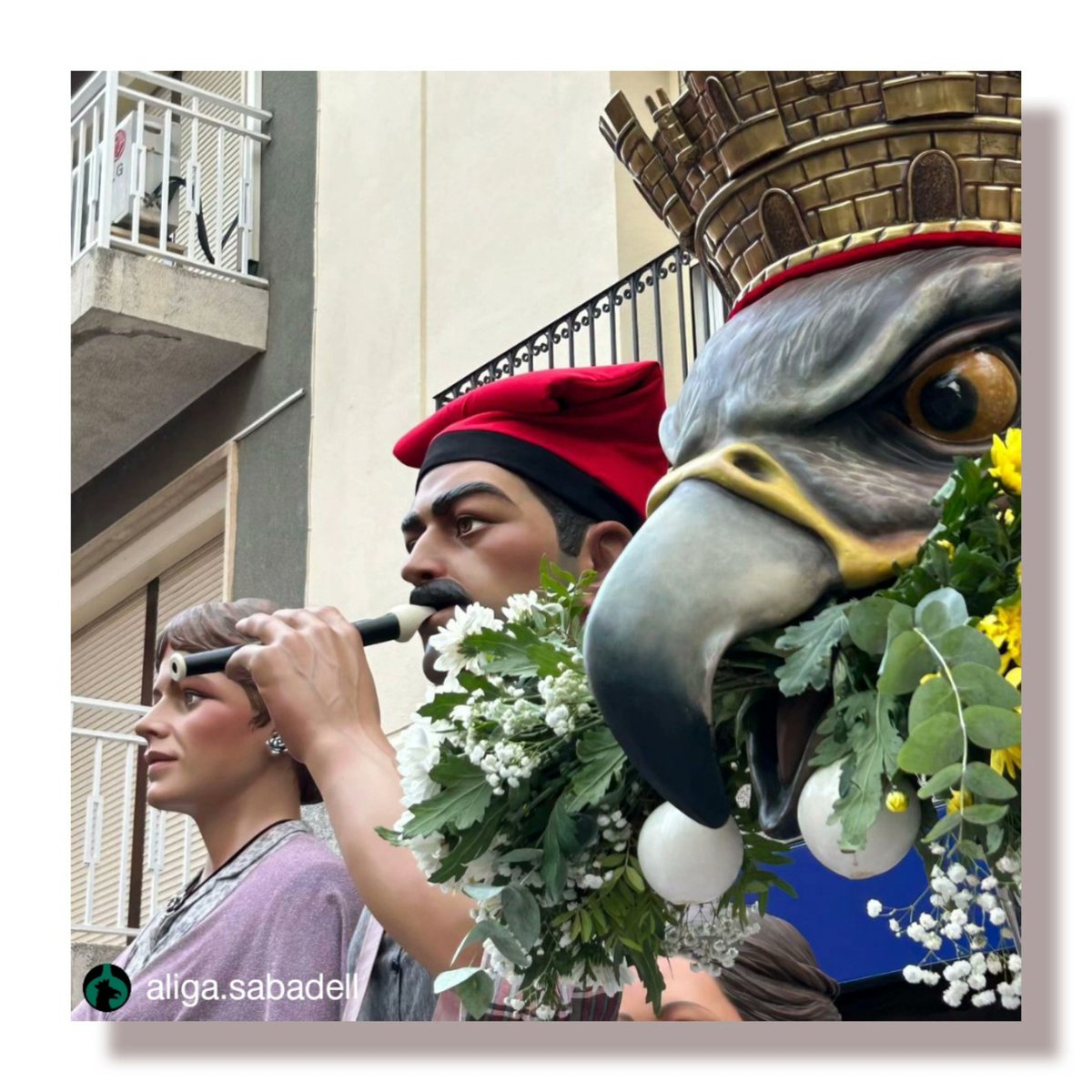 aliguesdecat's tweet photo. #Repost @aliga.sabadell
Algunes imatges d'ahir al Daltabaix de Castellbisbal.
@gegantscastellbisbal Moltes gràcies per convidar-nos a casa vostra. Un plaer!
#Àliga #sabadell #daltabaix #castellbisbal #sortides #intercanvis #culturapopular #cultura #bestiari
#AligaDeSabadell https://t.co/lYkdMgNHt9