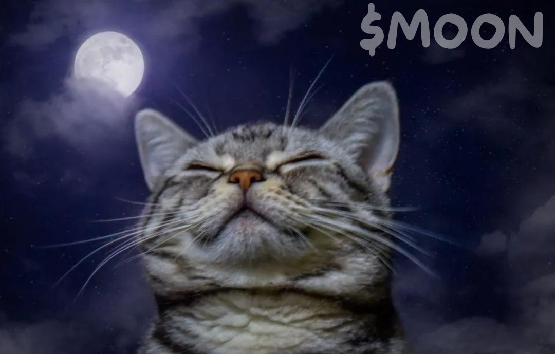 MoonCatARZ's tweet photo. @CrashiusClay69 MOON CAT 🌙🐈 make base great again 
https://t.co/jk95LZJ1Td https://t.co/5H1Tx6XzJx