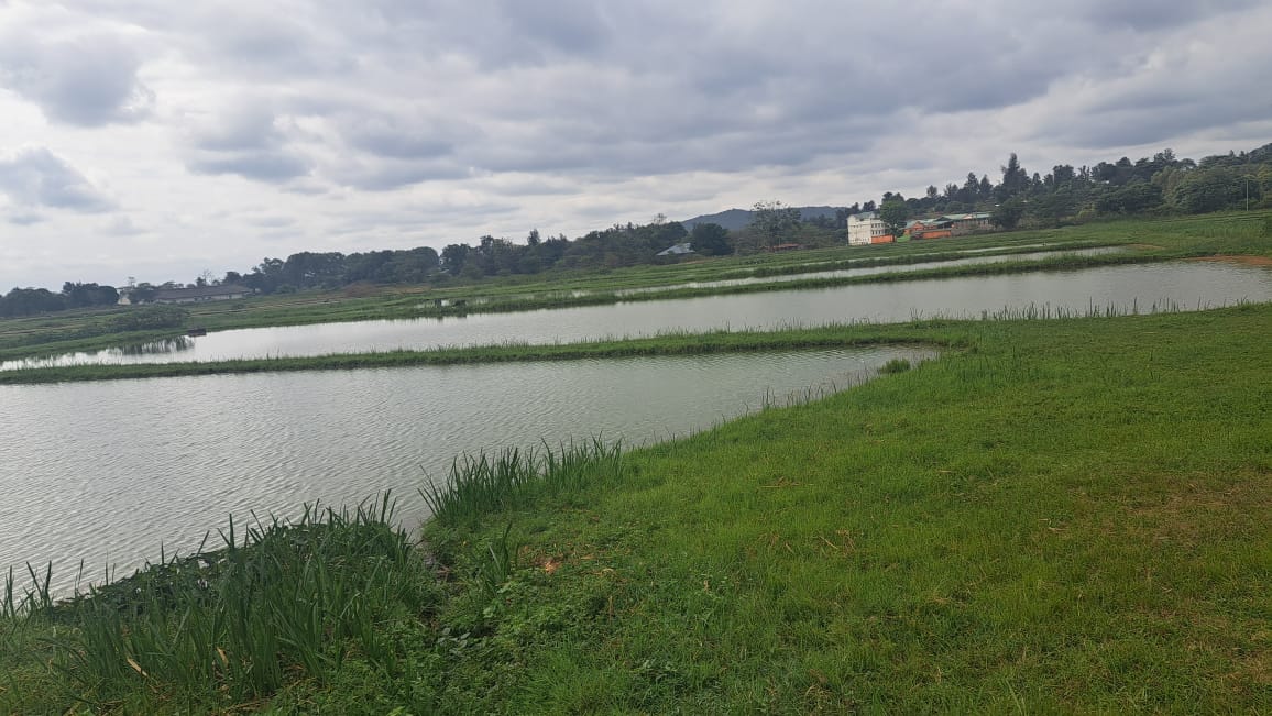 2. Keep checking our updates in the future for related opportunities.