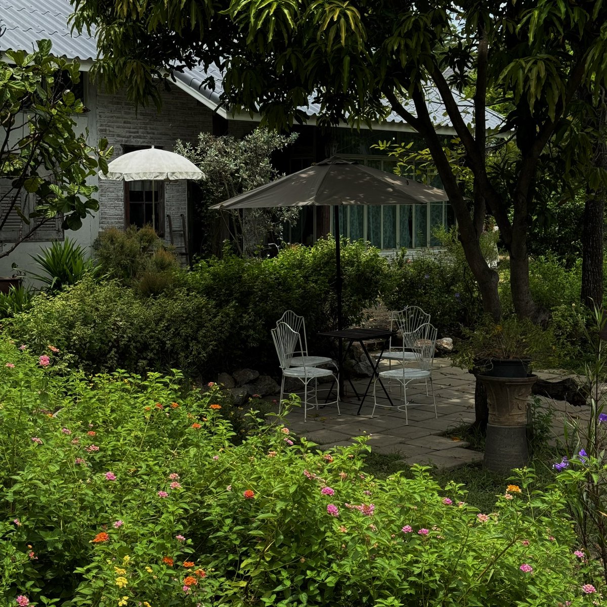 sfkkfs_'s tweet photo. น่ารักตั้งแต่ทางเข้า 🌳🏡 คาเฟ่นิยายบ้านสวน จ.นนทบุรี ร่มรื่นสุดๆ เหมือนได้พักใจ ความธรรมชาติเต็ม 100ไม่หัก บรรยากาศฮีลใจสุดๆ ดอกไม้ ต้นไม้เยอะ ชอบมากก 🍃 https://t.co/ebUWtSyy6H