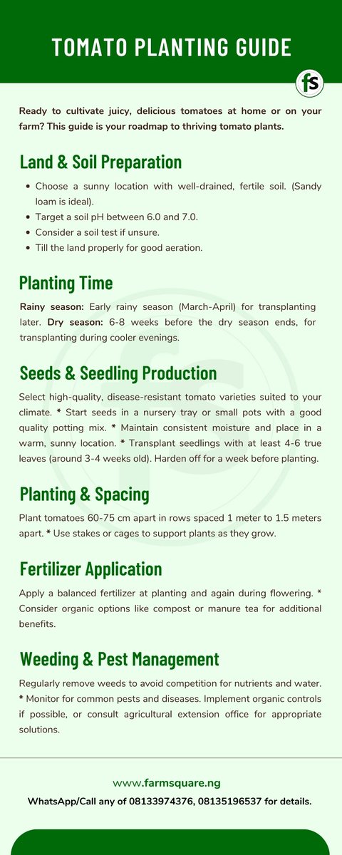GENERAL TOMATO PLANTING GUIDE

Selling surplus tomatoes can be a source of income. Contribute to food security by growing your own.
Remember:  This is a general guide.  

SEE MORE:
- farmsquare.ng/tomato-farming/
- farmsquare.ng/boost-your-tom…

#Tomato #farming #farmers #crops