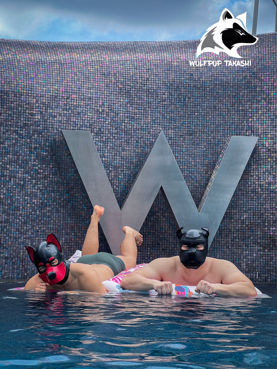 Pups in pool

🔴🐶 <a href="/danialrubber/">Danial Rubber</a> 
📸 <a href="/mrgear_recon/">MRGEAR</a> 
Art director <a href="/recon2sg/">2SGT</a>