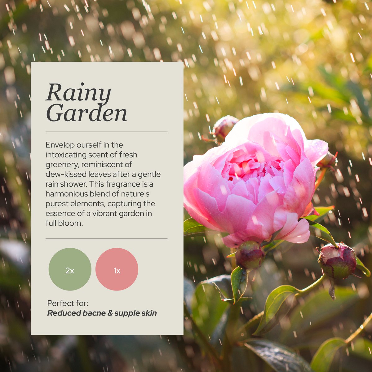 earthlovelife_'s tweet image. Ini dia secret hack-nya! Rainy Garden—rasakan wangi segar daun yang baru tersentuh embun setelah hujan ringan. 🌧️🌱 Perpaduan harmonis aroma dari elemen alam paling murni. Perfect for: reduced bacne &amp;amp; supple skin

#EarthLoveLife #Bacne #SuppleSkin #MoodBoostingFragranceTM