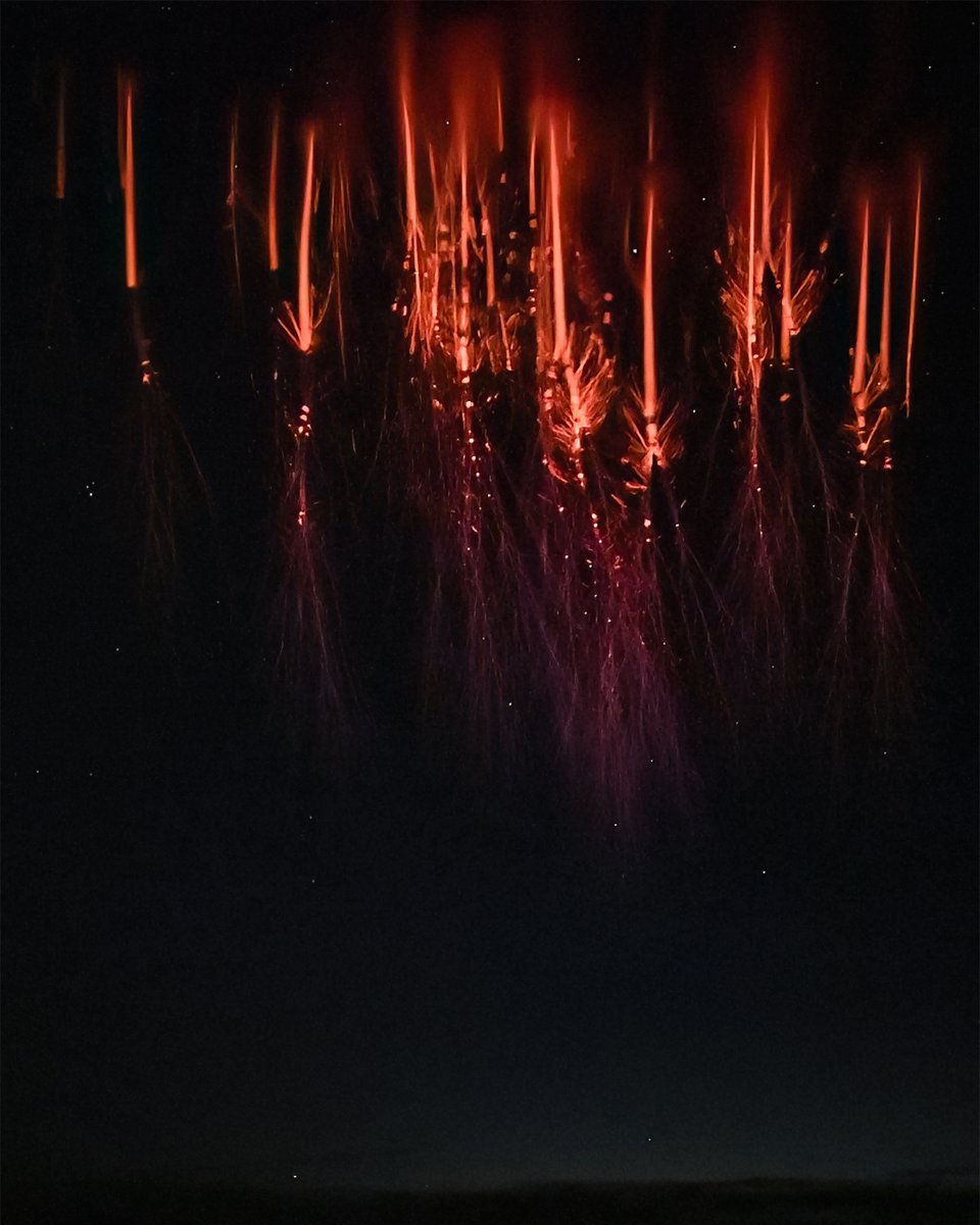 Christophe Suarez tweet media