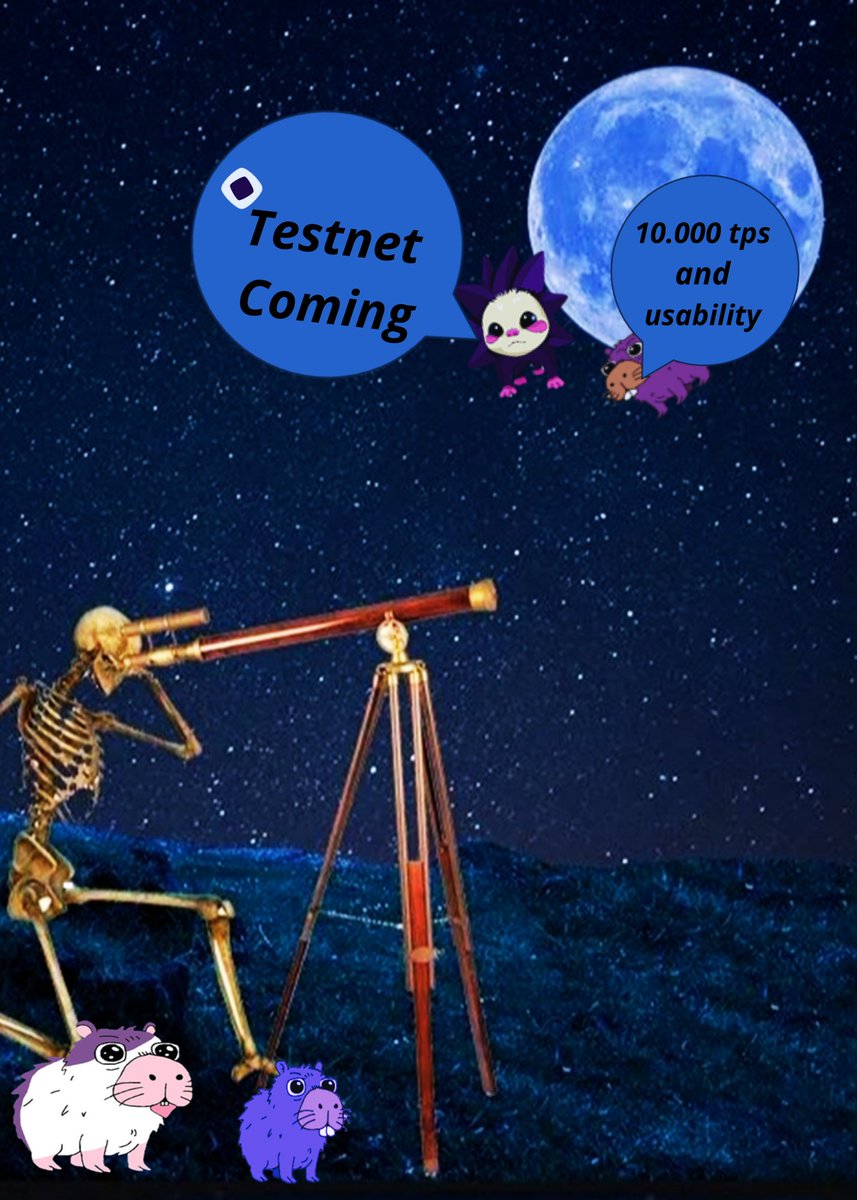 Como nós sabemos, <a href="/monad_xyz/">Monad</a> é uma blockchain Layer 1 que tem como uma das suas principais finalidades escalar a Ethereum. Nesse sentido, Monad mandou um recado para toda a comunidade por meio da <a href="/monavara_nads/">Monavara</a>  e <a href="/chog_xyz/">Chog (mainnet arc)</a> para ir já se preparando para sua Testnet.

Is everyone