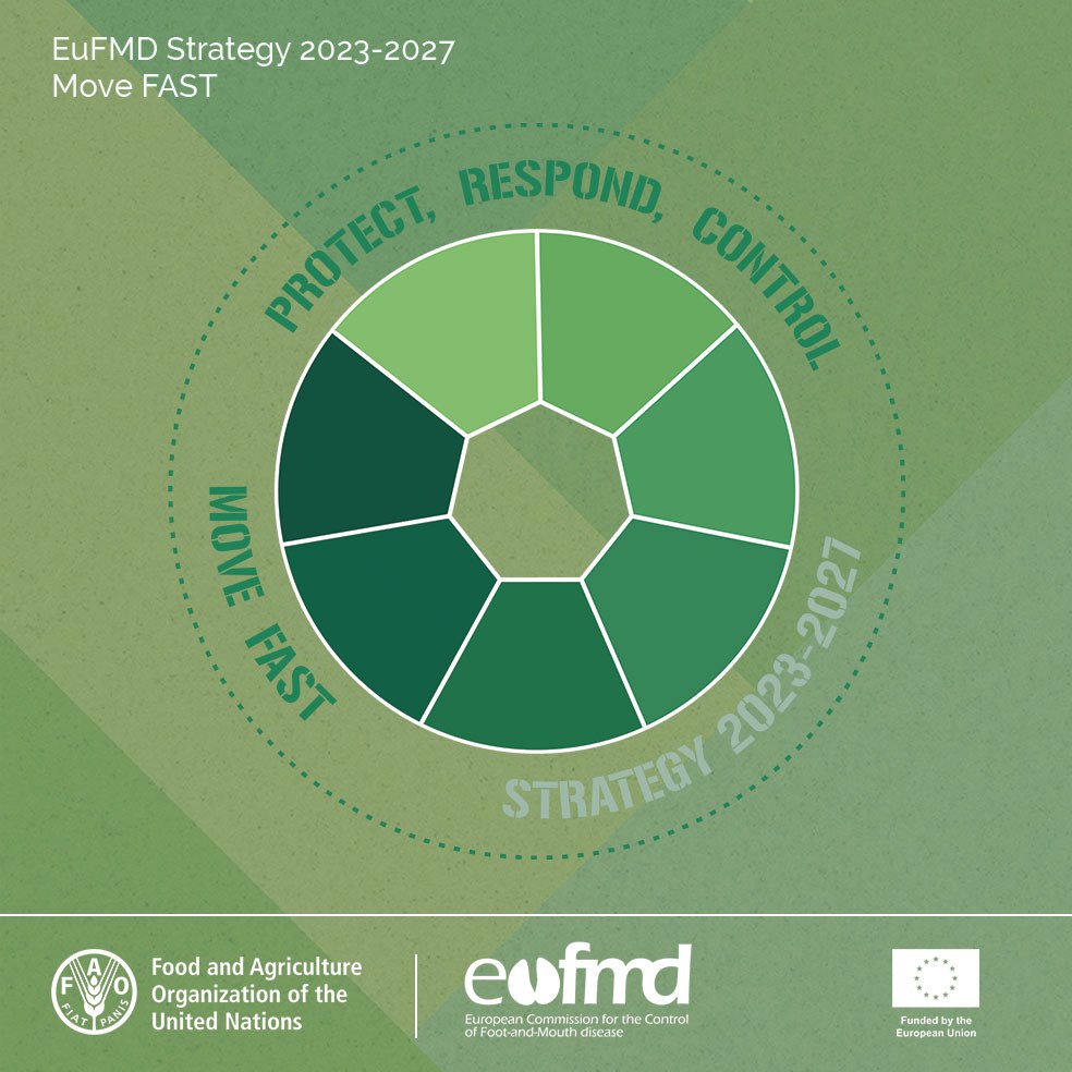Eufmd's tweet image. 🚨 Our #MoveFAST strategy is all about collaboration and coordination. We're partnering with stakeholders and GF-TADs to reduce FAST risks through effective risk monitoring, preparedness, early warning systems, surveillance, and vaccine security. 
fao.org/3/cc9047en/cc9…