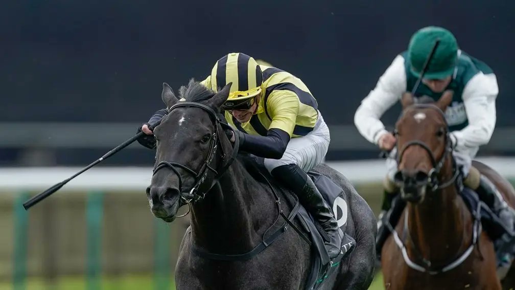 "His Juddmonte Middle Park victory was sensational and I don’t think I’ve ever seen a better winner of that race. He was pure class."

Dual Group 1 winner Vandeek retired from racing to join Cheveley Park roster for 2025

Details here 👉 bit.ly/3T319rY