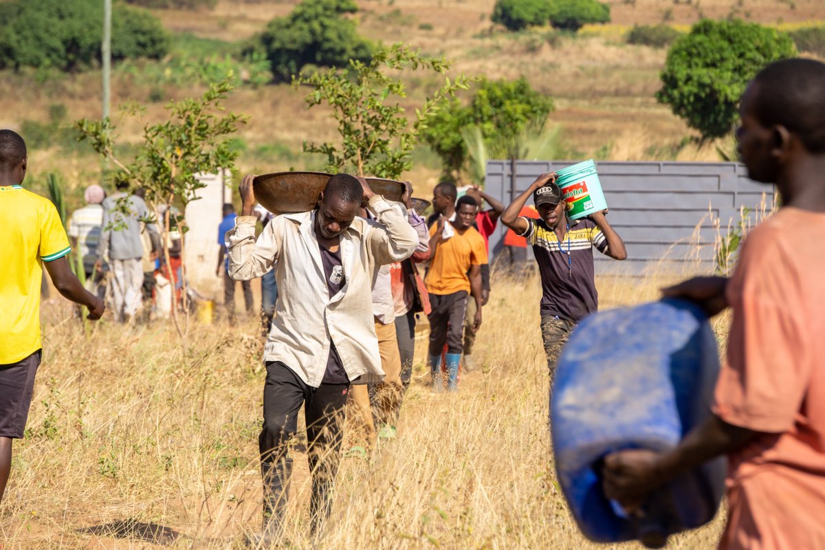 TAHEA Mwanza tweet media