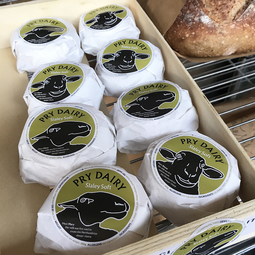 Labels for #pryhousenorthumberland. Steve the shepherd’s first batch of #slaley sheeps’ cheese was delivered to a local shop and sold out fast. Corralled together in a box, the batch looks like a flock of cheeses. #drawing #artwork #graphicdesign #packagingdesign