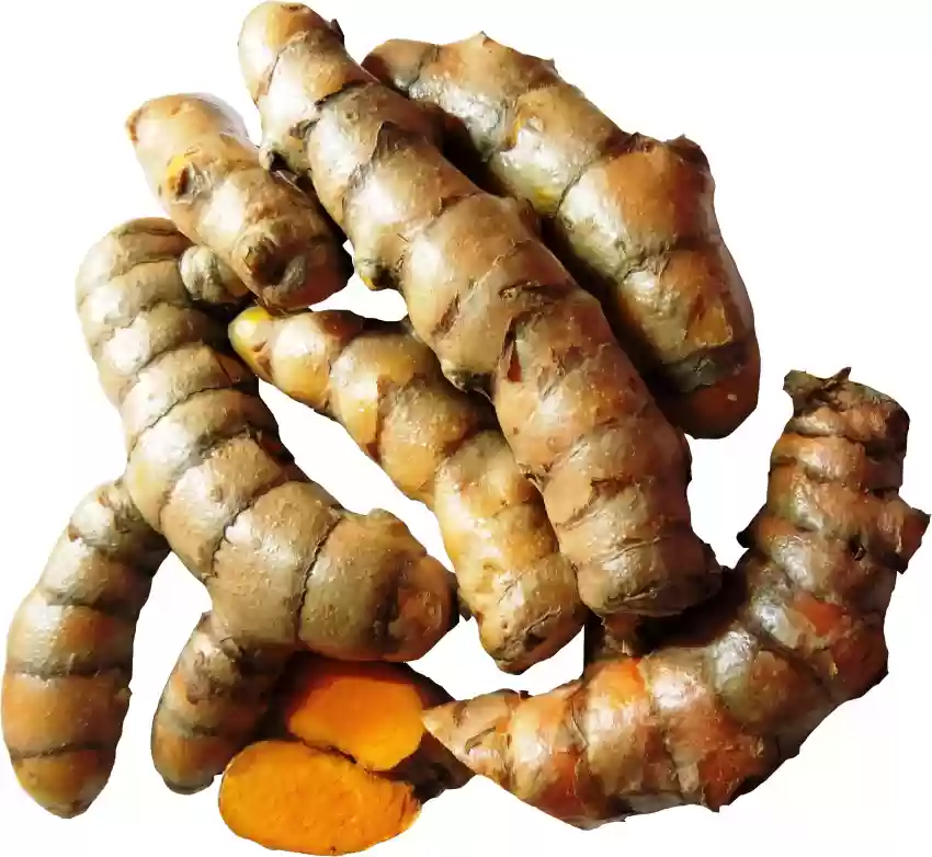 satyaki_chat's tweet photo. @theliverdoc doc, is it applicable to raw turmeric too? https://t.co/4niJyYS8Bq