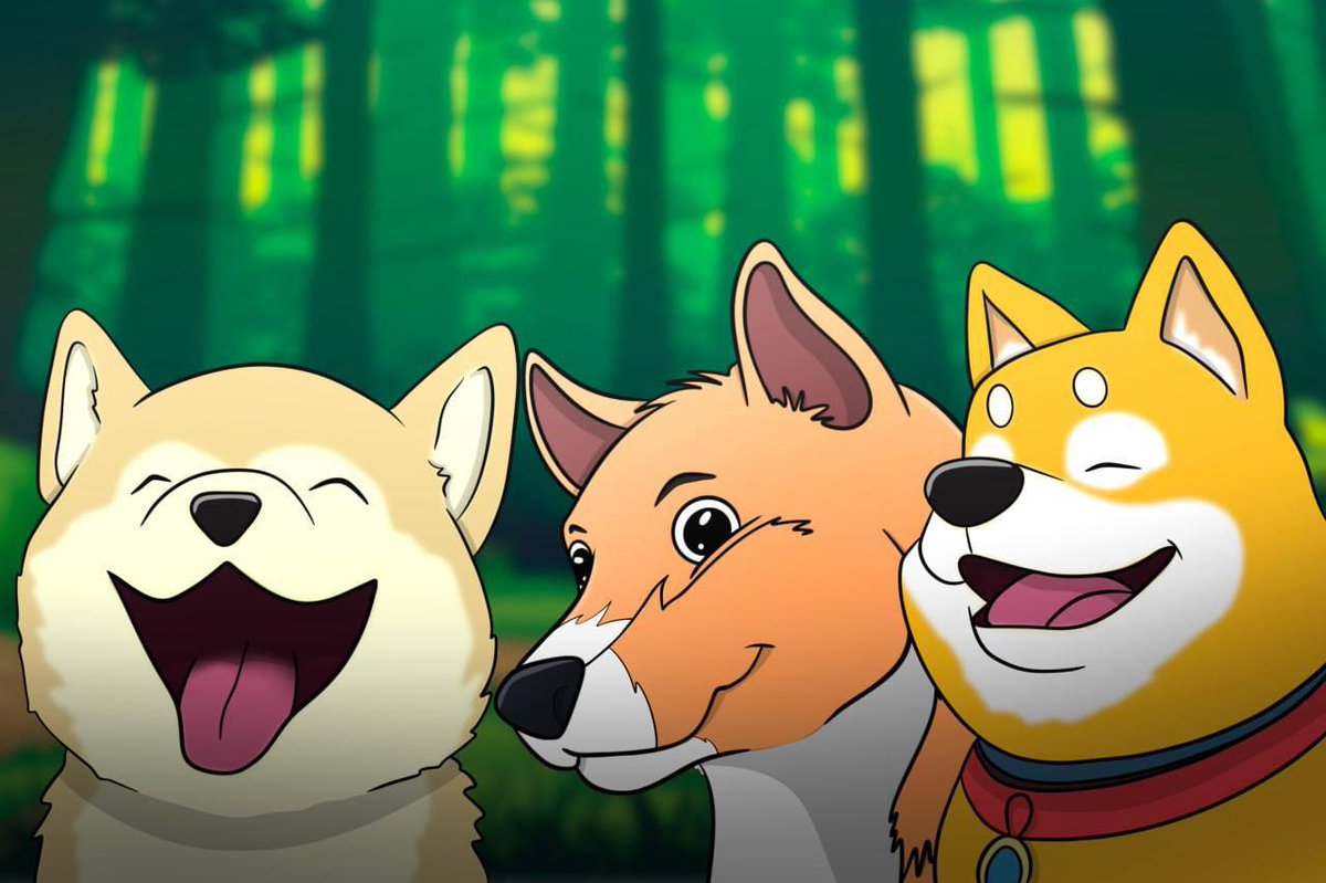 Happy international dog day to all the Doge’s out there. A day to appreciate all the happiness they bring to our lives everyday with their smiles and cuddles.