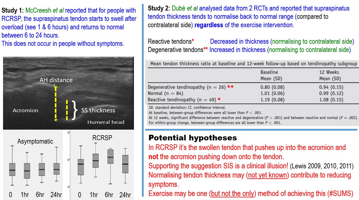 Professor Jeremy Lewis PhD FCSP (@jeremylewispt) on Twitter photo Exercise-regardless of type may help to normalise supraspinatus tendon thickness in RCRSP
Study 1 <a href="/McCreesh_Karen/">Karen McCreesh</a>
pubmed.ncbi.nlm.nih.gov/29333279/
Study 2 <a href="/Marco_dube/">Marc-Olivier Dubé</a>
jshoulderelbow.org/article/S1058-…
<a href="/RoyJeanSebasti1/">Jean-Sebastien Roy</a> <a href="/fdesmeulesptphd/">François Desmeules</a> K Ingwersen B JKristensen, J Vobbe, S LJensen, <a href="/JeremyLewisPT/">Professor Jeremy Lewis PhD FCSP</a> Exercise-regardless of type may help to normalise supraspinatus tendon thickness in RCRSP
Study 1 <a href="/McCreesh_Karen/">Karen McCreesh</a>
pubmed.ncbi.nlm.nih.gov/29333279/
Study 2 <a href="/Marco_dube/">Marc-Olivier Dubé</a>
jshoulderelbow.org/article/S1058-…
<a href="/RoyJeanSebasti1/">Jean-Sebastien Roy</a> <a href="/fdesmeulesptphd/">François Desmeules</a> K Ingwersen B JKristensen, J Vobbe, S LJensen, <a href="/JeremyLewisPT/">Professor Jeremy Lewis PhD FCSP</a>