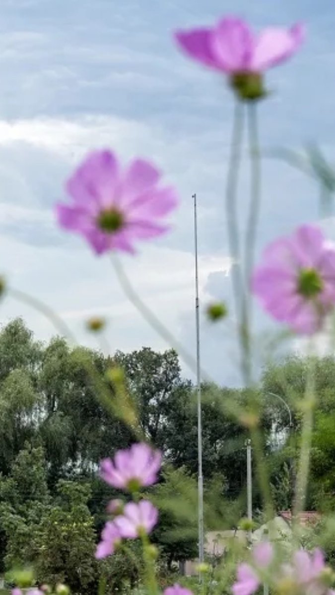 😎 Qué alegría teneros de vuelta! Es tiempo de reconectar, preparar las aulas y dar la bienvenida a un curso lleno de aprendizajes y colaboración. Tenemos algo especial para vosotros! 📝  #VueltaAlCole