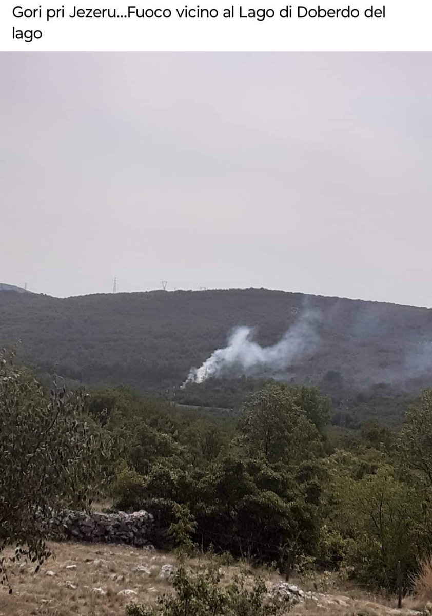 INCENDIO BOSCHIVO IN CORSO IN LOCALITÀ  DOBERDÒ  DEL LAGO.
 Una nostra squadra è  stata attivata e raggiungerà  a breve il luogo.  Sul posto già  il corpo forestale regionale e i volontari Aib Distretto  carso Isonzo (Foto de Il Goriziano)#staytuned #SocialmediacommunityFvg